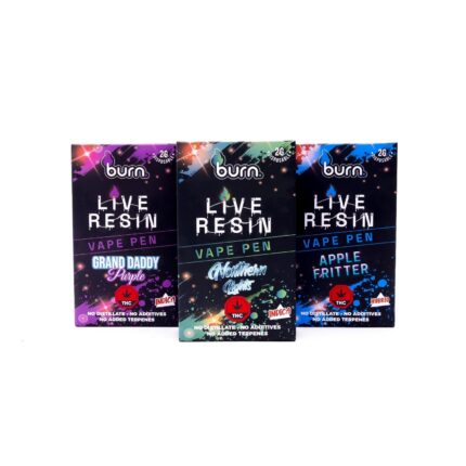 Burn Lifestyle Co – Live Resin Disposable Vape (2g)