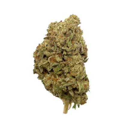 Dollar Treez – Hash Burger